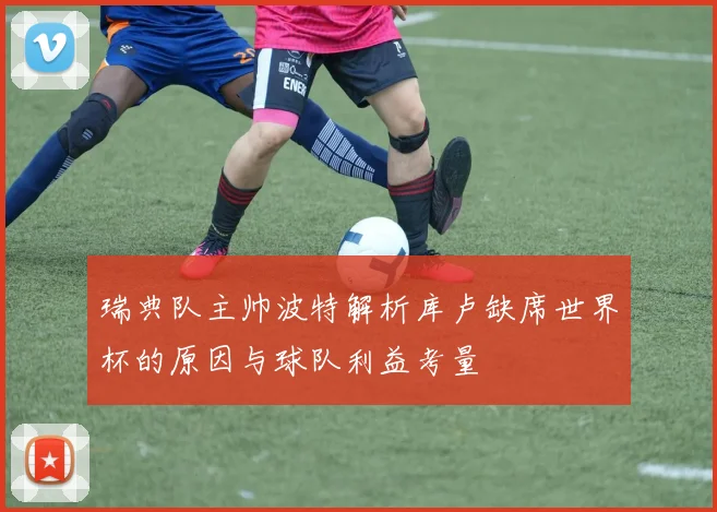 瑞典队主帅波特解析库卢缺席世界杯的原因与球队利益考量
